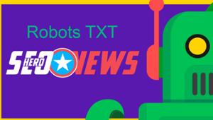 set robots txt