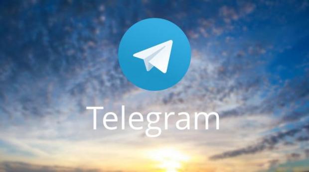 telegram audience
