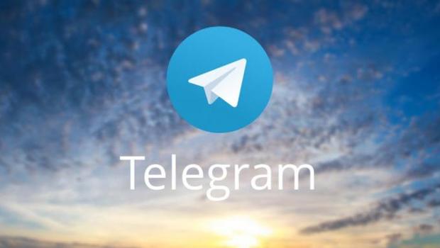 telegram audience